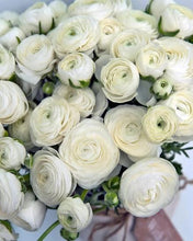Load image into Gallery viewer, Ranunculus &#39;White&#39; 5 Bulb-Tuber